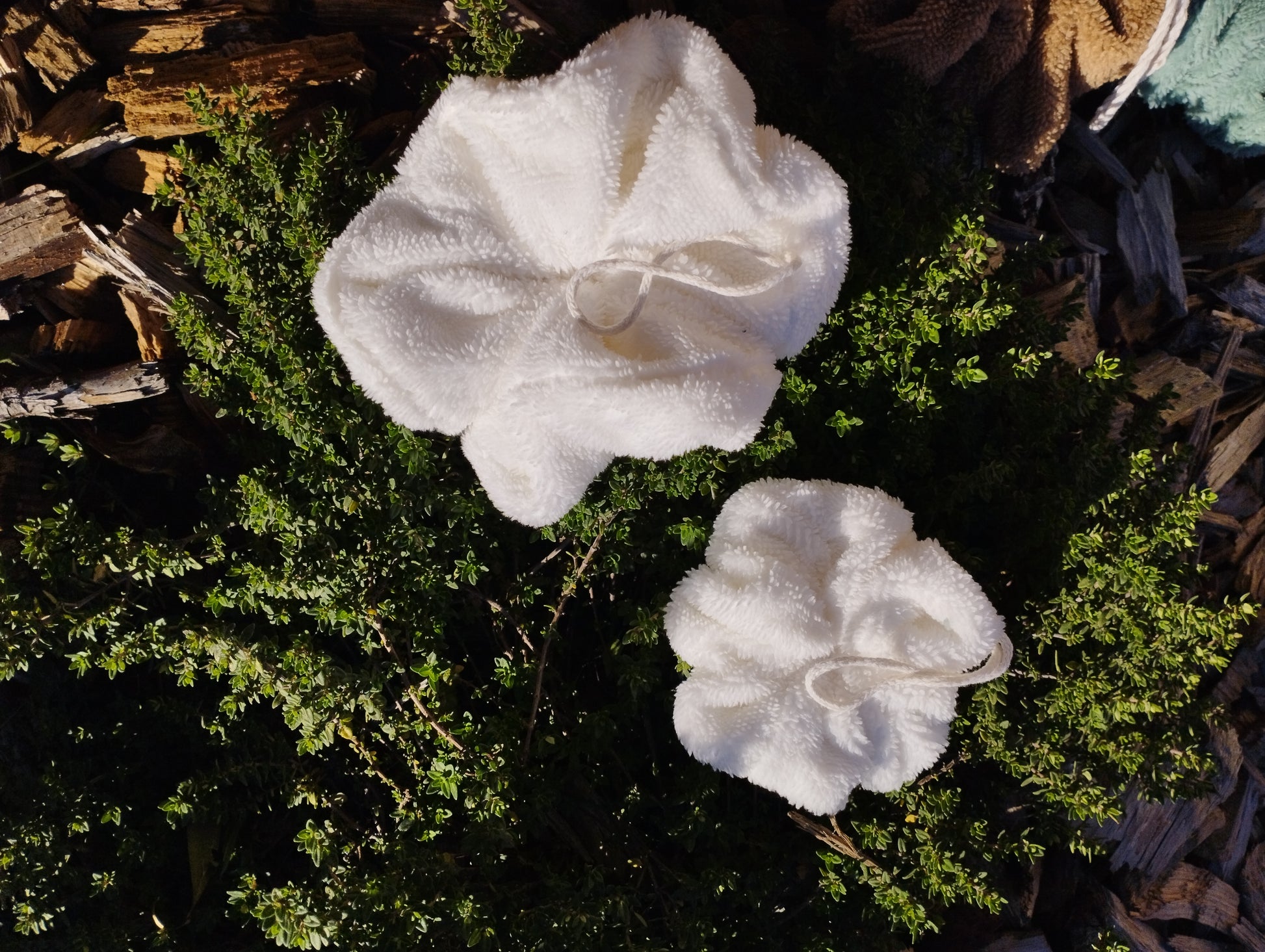 Mini fleur de douche