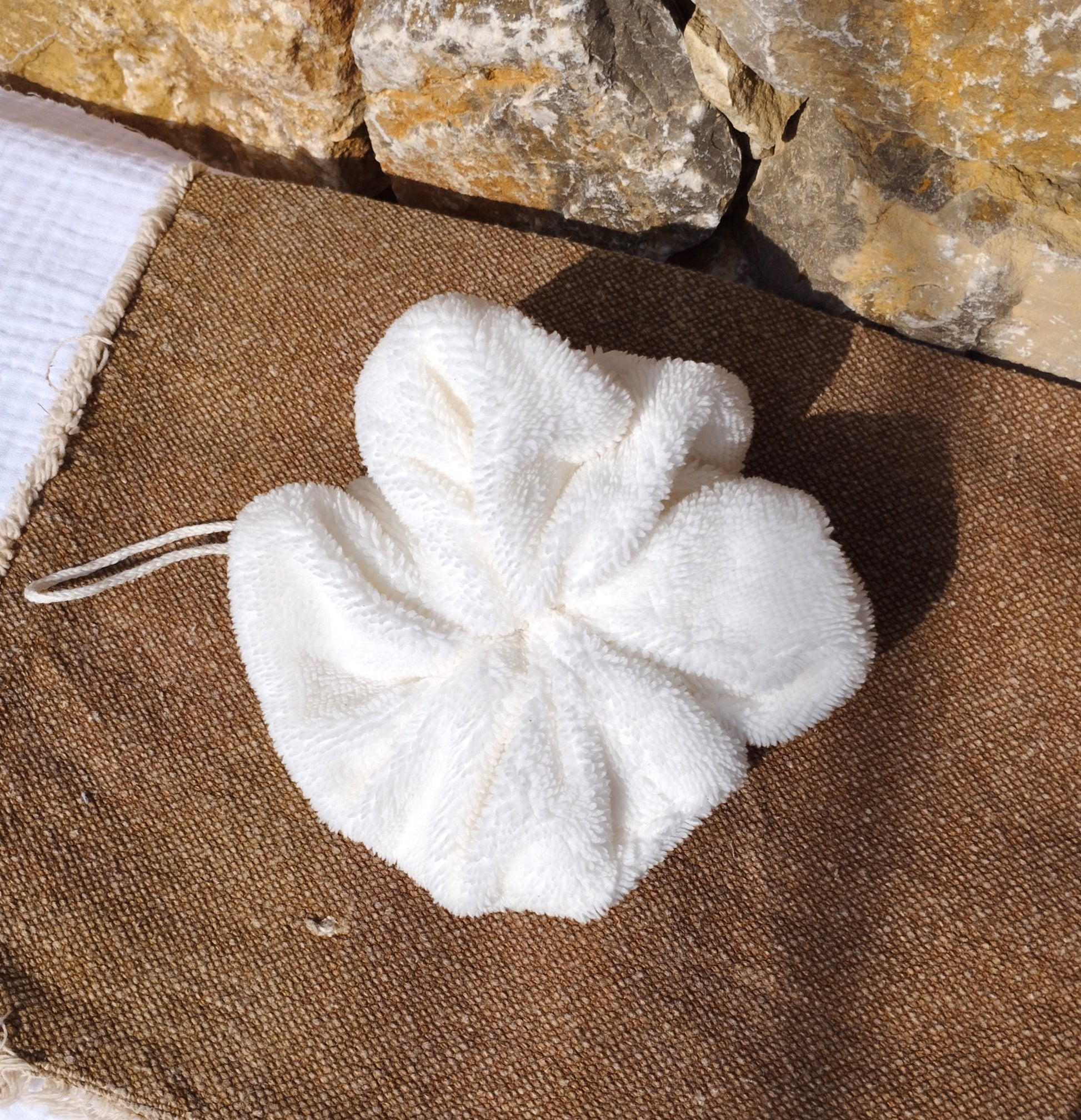 Mini fleur de douche